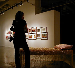 Deanna M. Saracki - Artist